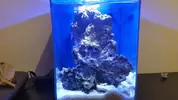 [TodoMarino.com] Pico Reef 7,6L