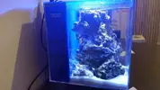[TodoMarino.com] Pico Reef 7,6L