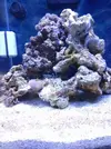 [TodoMarino.com] Nini reef de Blau de 91 litros de 45x45x45