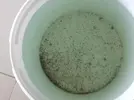 [TodoMarino.com] Planaria sino me equivoco....consejos porfavor!!!