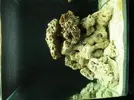 [TodoMarino.com] Nuevo nano 34l