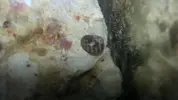 [TodoMarino.com] Roca viva o roca muerta