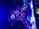 [TodoMarino.com] Metodo Rainbow