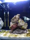 [TodoMarino.com] Nuevo nano 34l