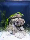 [TodoMarino.com] Nuevo nano 34l