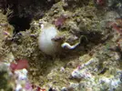 [TodoMarino.com] Nano 22 litros soy nuevo , que mas necesito?
