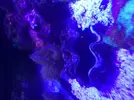 [TodoMarino.com] Metodo Rainbow
