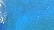 [TodoMarino.com] capa superficial sucia y agua turbia