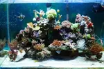 [TodoMarino.com] mi nano de 60 lts