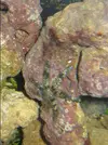 [TodoMarino.com] Ayuda con un acuario de segunda mano!!!