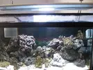 [TodoMarino.com] Ayuda con un acuario de segunda mano!!!