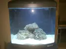 [TodoMarino.com] Mi primer Marino