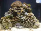 [TodoMarino.com] Mi primer Marino
