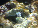 [TodoMarino.com] Mi primer Marino