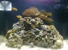 [TodoMarino.com] Mi primer Marino