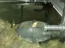 [TodoMarino.com] Que es esto?