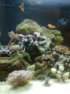 [TodoMarino.com] Mi primer Marino
