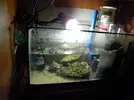 [TodoMarino.com] 140l mas 60 l de sump