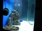 [TodoMarino.com] 140l mas 60 l de sump
