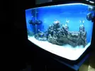 [TodoMarino.com] 140l mas 60 l de sump