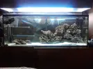 [TodoMarino.com] mi nuevo 260 litrakos