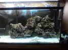 [TodoMarino.com] mi nuevo 260 litrakos