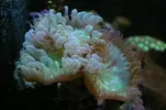 [TodoMarino.com] Mi marino de 130 L