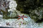 [TodoMarino.com] Mi marino de 130 L
