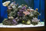 [TodoMarino.com] Mi marino de 130 L