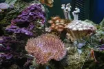 [TodoMarino.com] Mi marino de 130 L