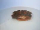 [TodoMarino.com] Anemona enferma??