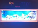 [TodoMarino.com] Acuario exposición Special Reef