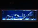 [TodoMarino.com] Acuario exposición Special Reef