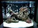 [TodoMarino.com] i primer nano acuario