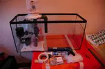 [TodoMarino.com] Nuestro nuevo reef de 300l