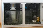 [TodoMarino.com] Nuestro nuevo reef de 300l