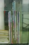 [TodoMarino.com] Nuestro nuevo reef de 300l