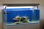 [TodoMarino.com] Nuestro nuevo reef de 300l