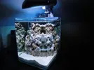 [TodoMarino.com] *** Buuble Reef ***