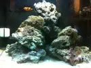 [TodoMarino.com] He heredado un acuario