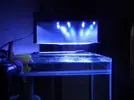 [TodoMarino.com] Mi ansiada pantalla de leds.