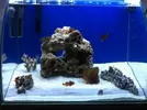 [TodoMarino.com] Me presento desde Alcalá de Henares (Madrid) con Nano 30 l.