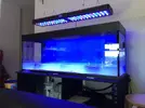 [TodoMarino.com] Nuevo Proyecto 300L