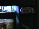 [TodoMarino.com] Como restaurar el equilibrio en un acuario.