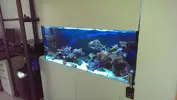 [TodoMarino.com] Presentación ''formal'' de mi Reef