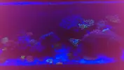 [TodoMarino.com] Presentación ''formal'' de mi Reef