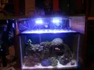 [TodoMarino.com] Mi Pequeña Aventura Marina de 27L