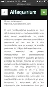 [TodoMarino.com] .....:::::::: Seadreams :::::::::.....