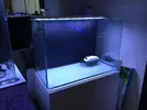 [TodoMarino.com] Nuevo-  nano marine ocean free 96