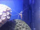 [TodoMarino.com] Mi Pequeña Aventura Marina de 27L